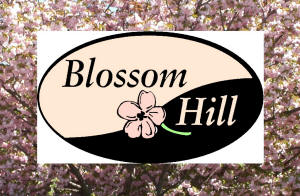 Blossom Hill